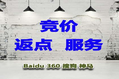某行业SEM竞价策略的运营实践与效果